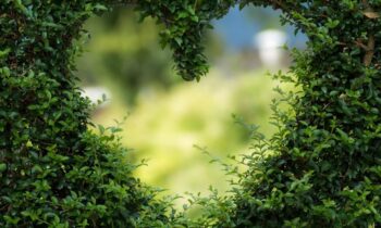 Desayunos a domicilio en Madrid y en toda España - Desayunos Kubala - Desayunos para San Valentín