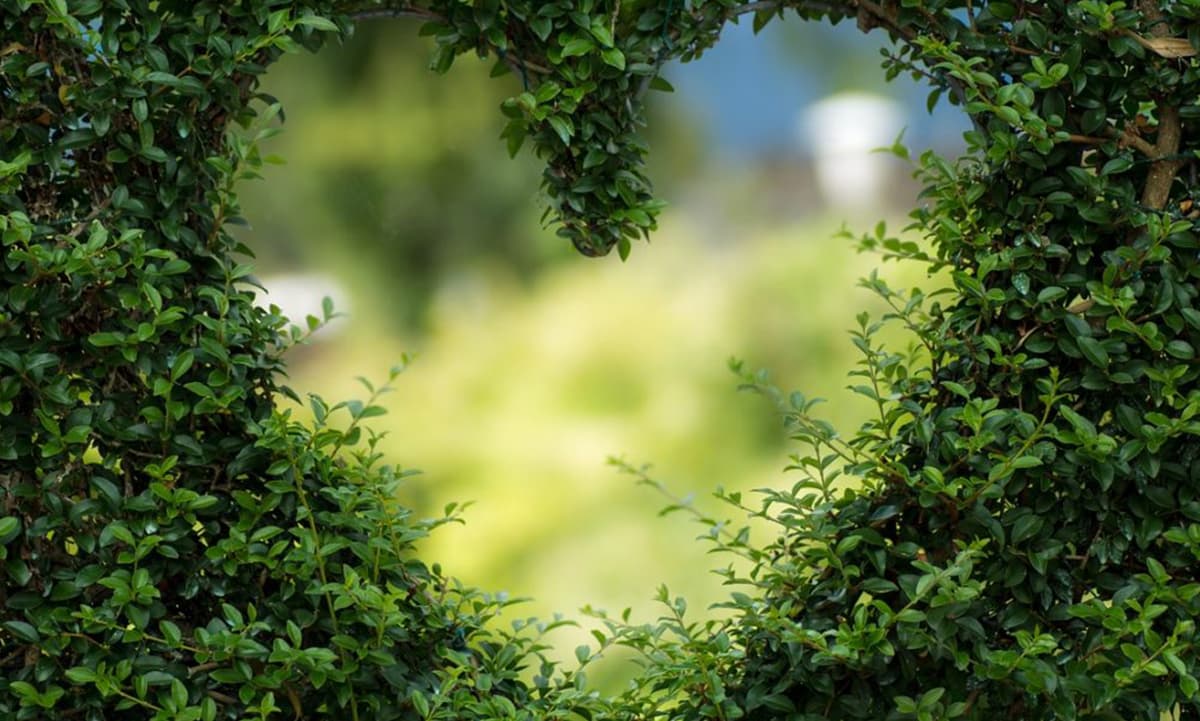 Desayunos a domicilio en Madrid y en toda España - Desayunos Kubala - Desayunos para San Valentín